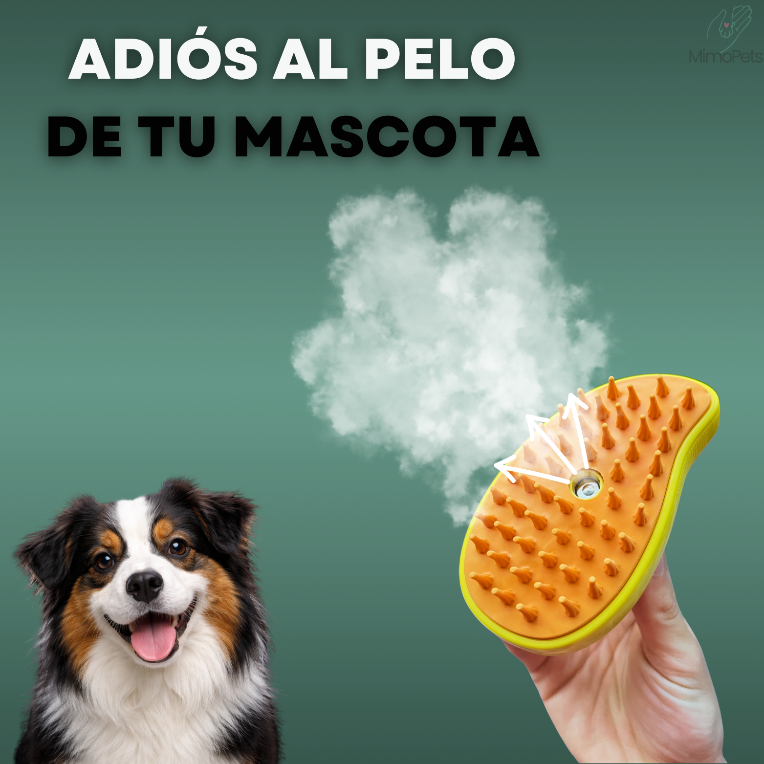 Cepillo Pulverizador